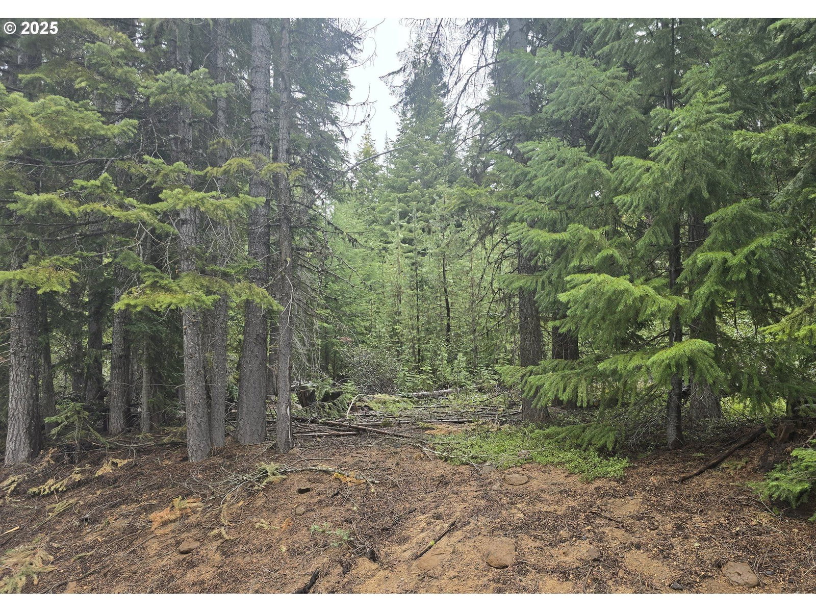 Primary listing photo, 5 Royce Pine, Crescent Lake, OR, 97733
