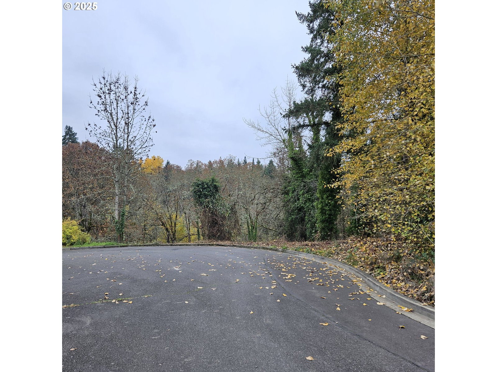Listing photo 1 of 1