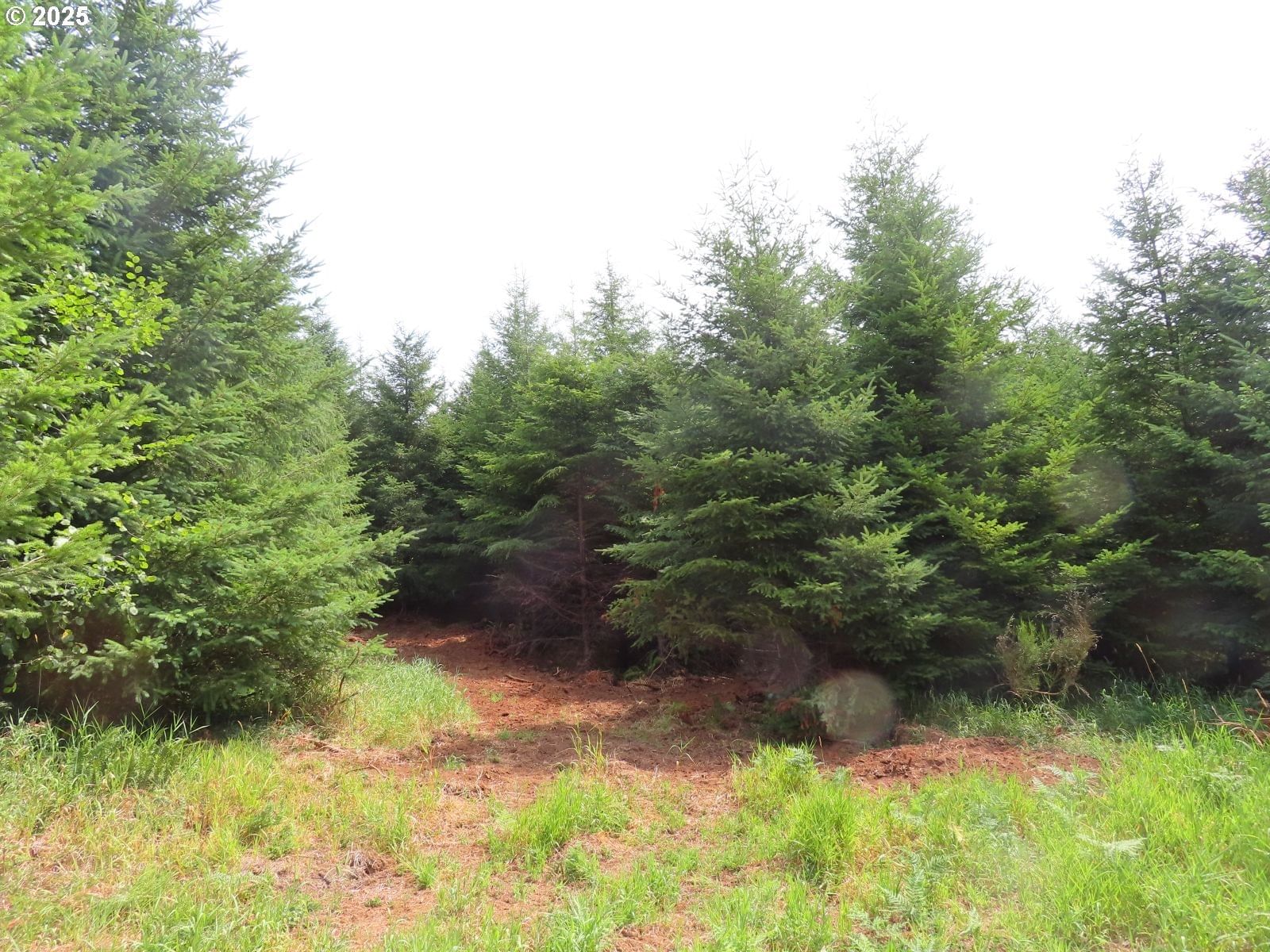 Primary listing photo, Mill Creek LN #B, Longview, WA, 98632
