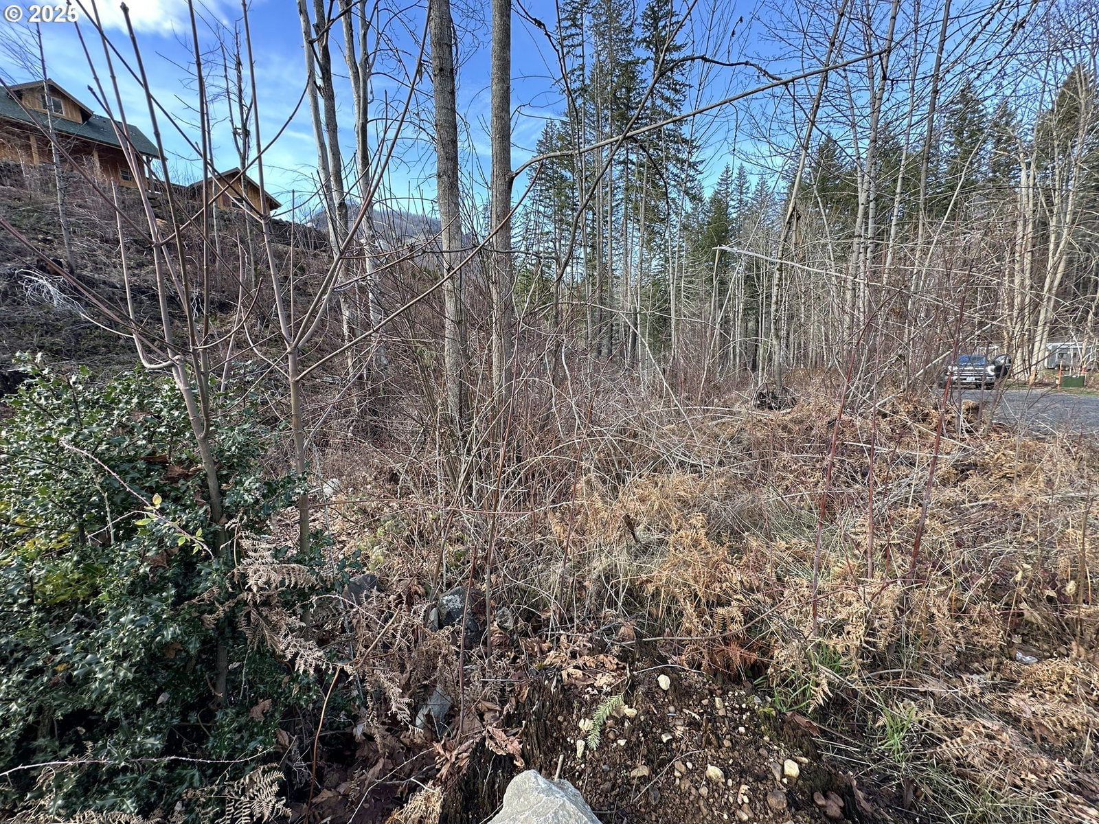 Listing photo 1 of 1
