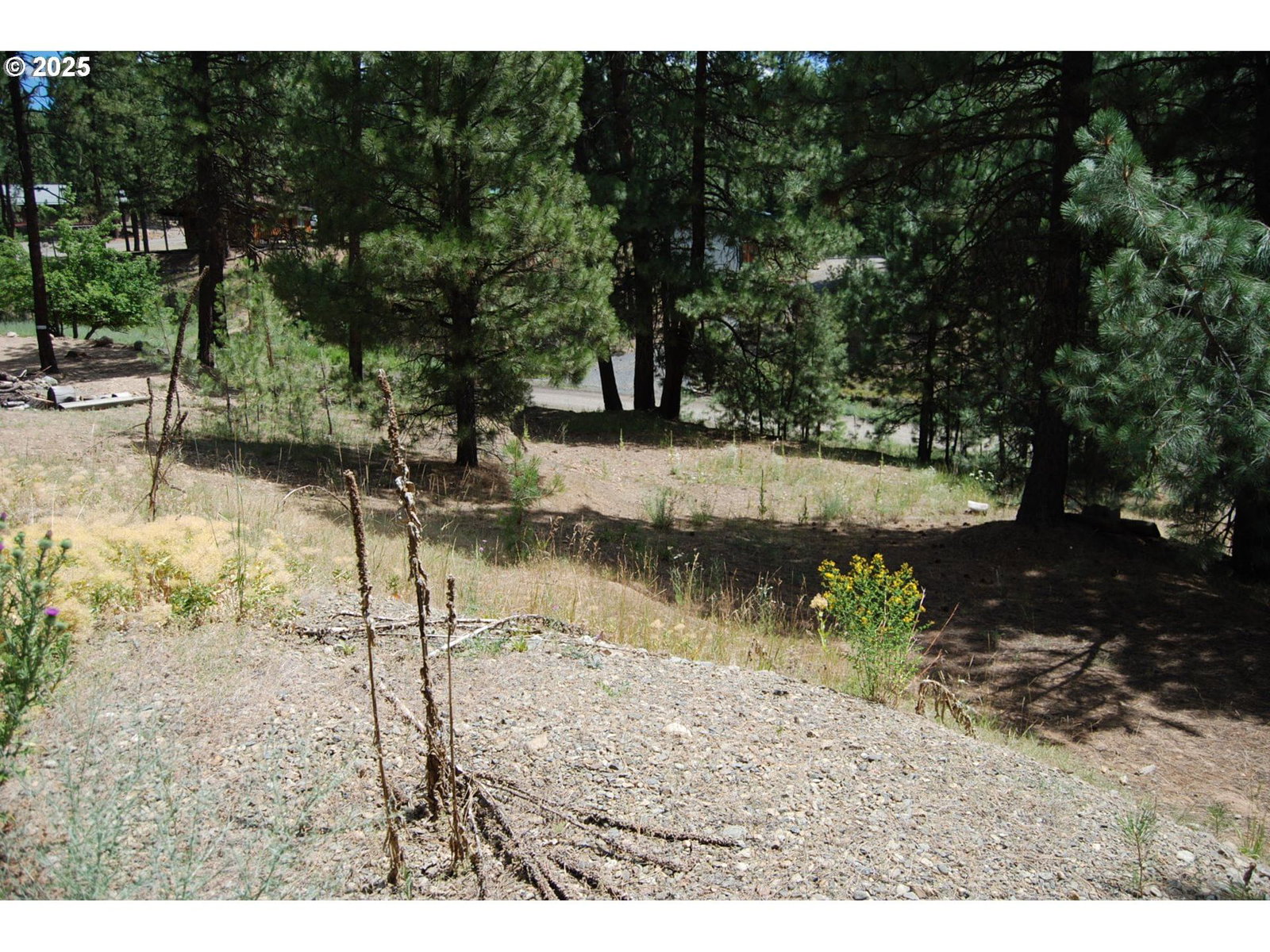 Listing photo 1 of 1