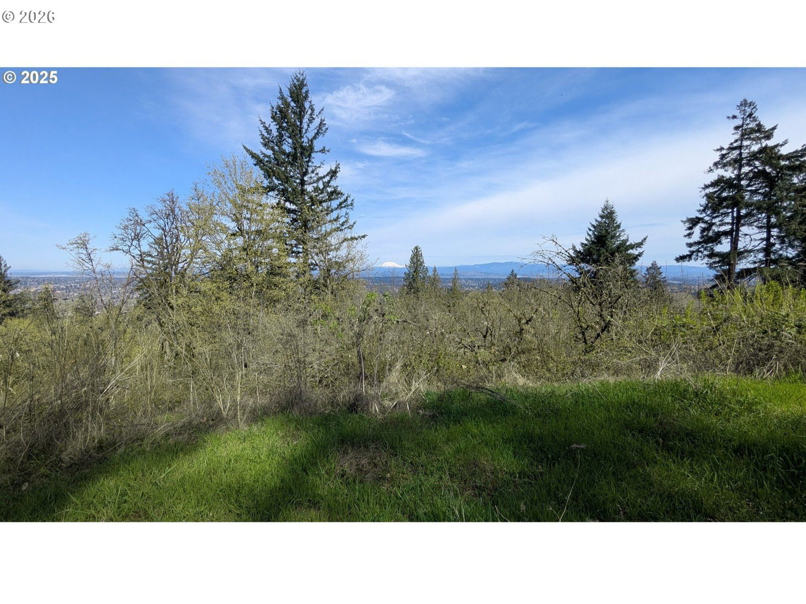 Listing photo 1 of 1