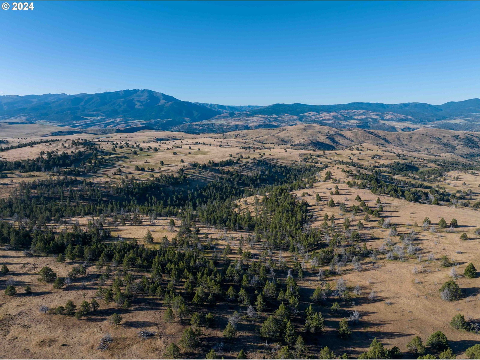 Listing photo 1 of 1
