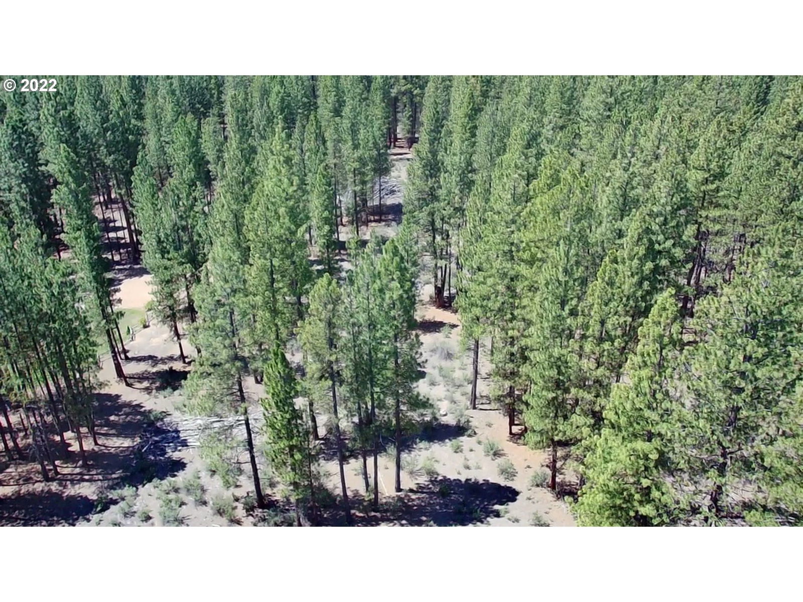 Listing photo 1 of 1
