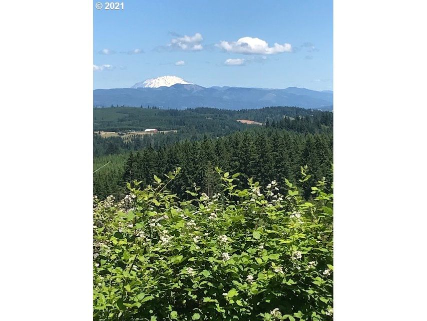 Listing photo 1 of 1