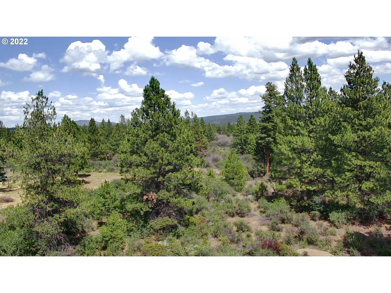 Listing photo 1 of 1