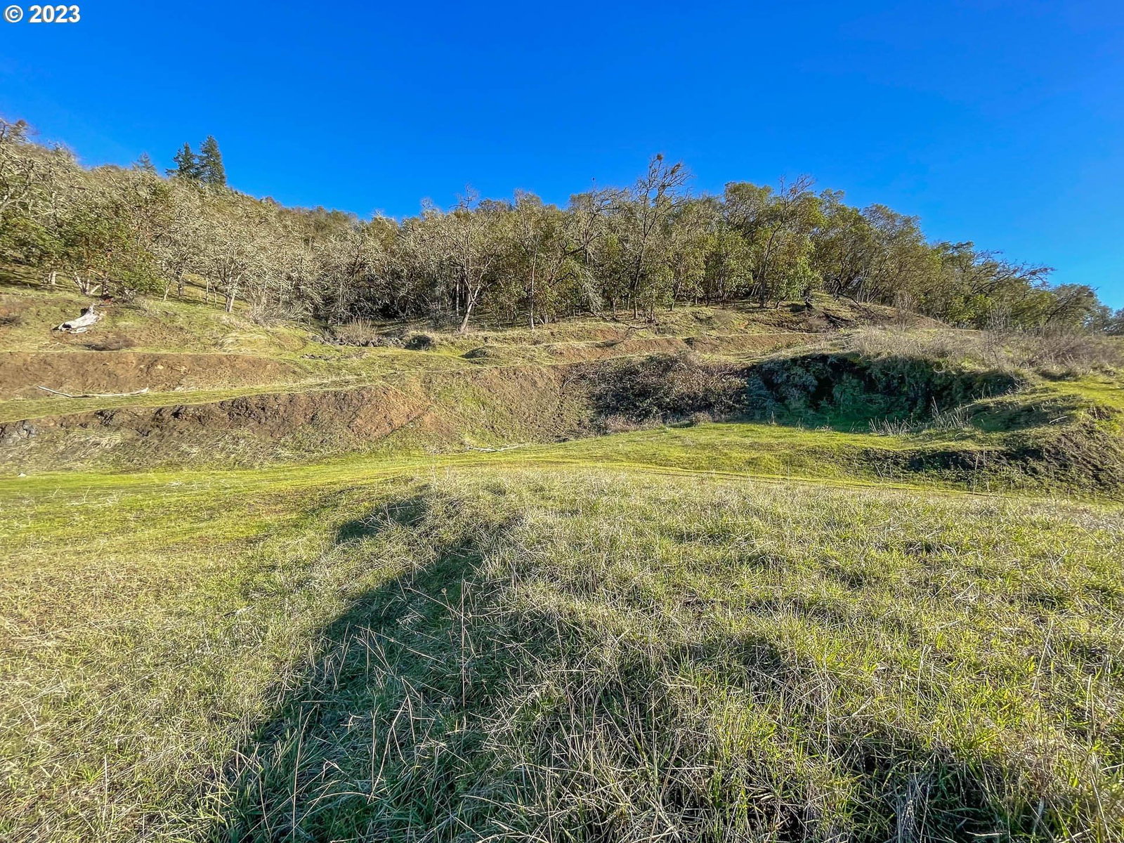 Primary listing photo, 747 NORTH VIEW DR, Winchester, OR, 97495