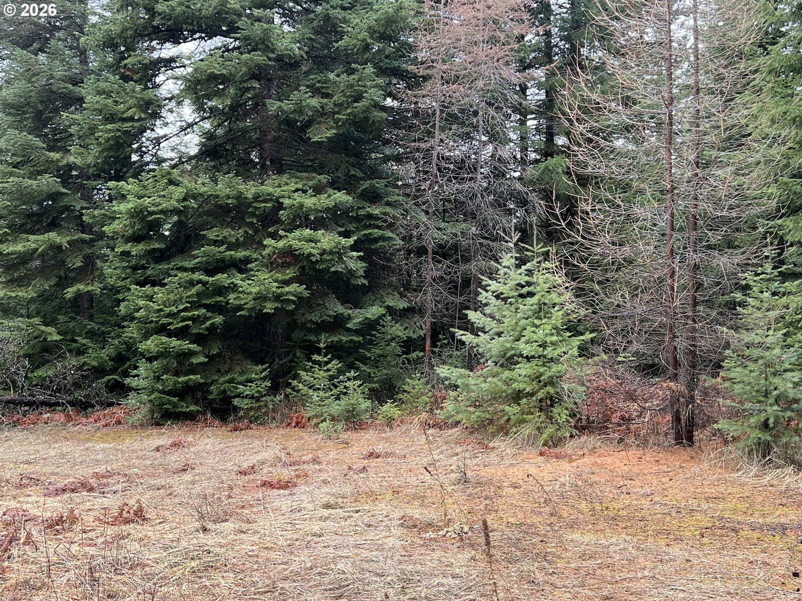 Primary listing photo, 00 Highway 204, Weston, OR, 97886
