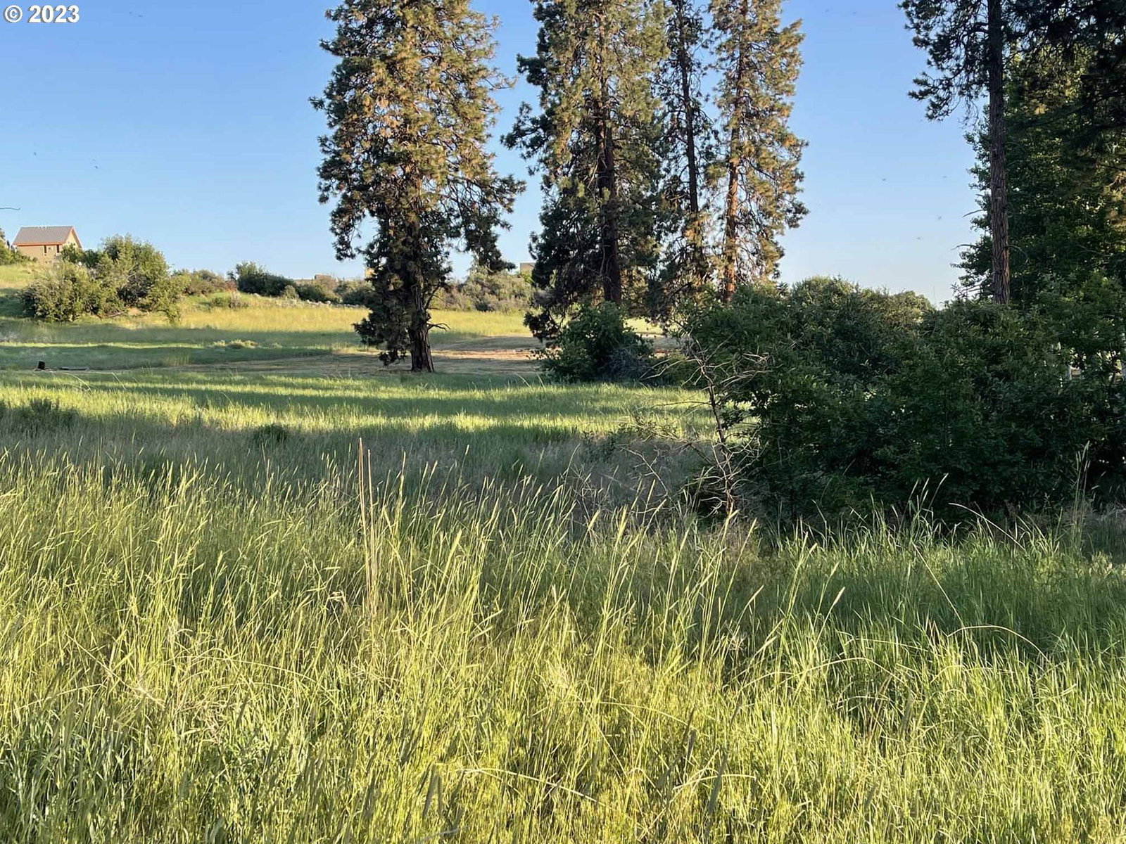 Listing photo 1 of 1