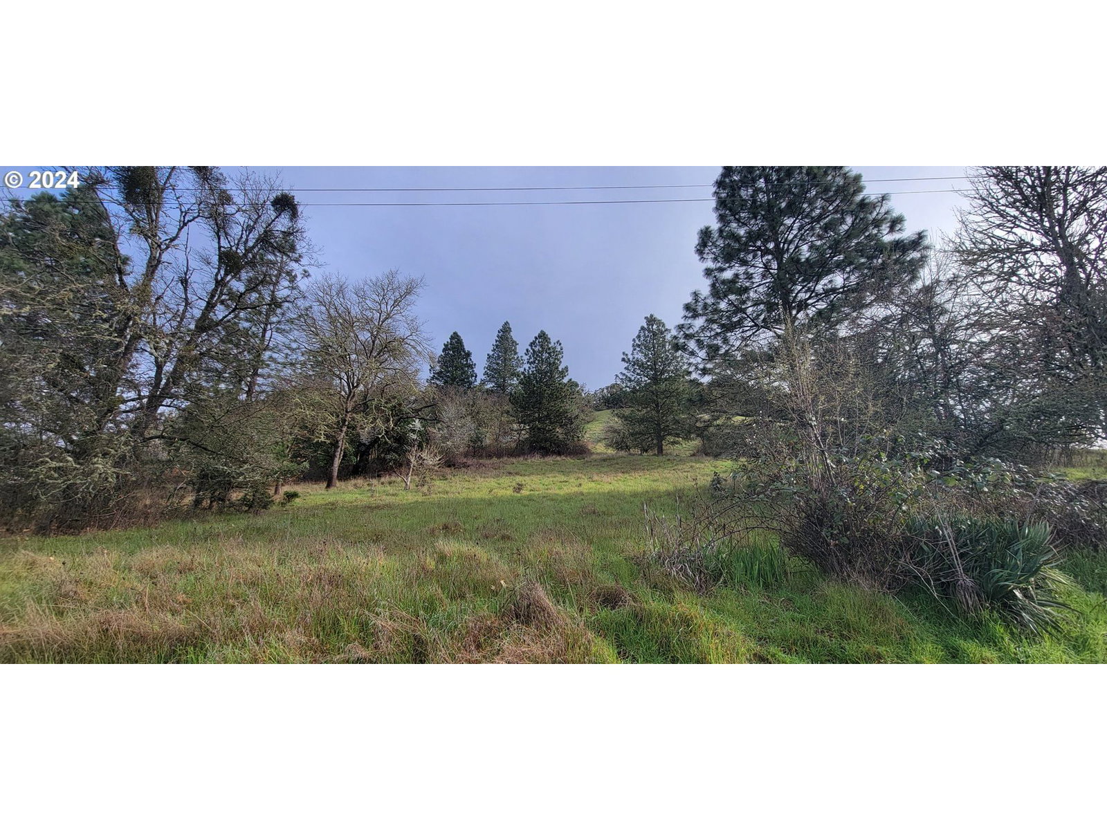 Listing photo 1 of 1