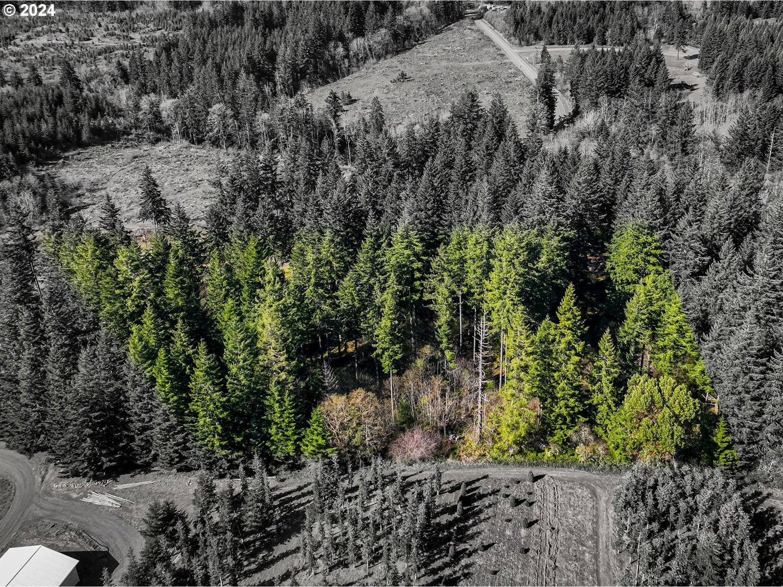 Listing photo 1 of 1