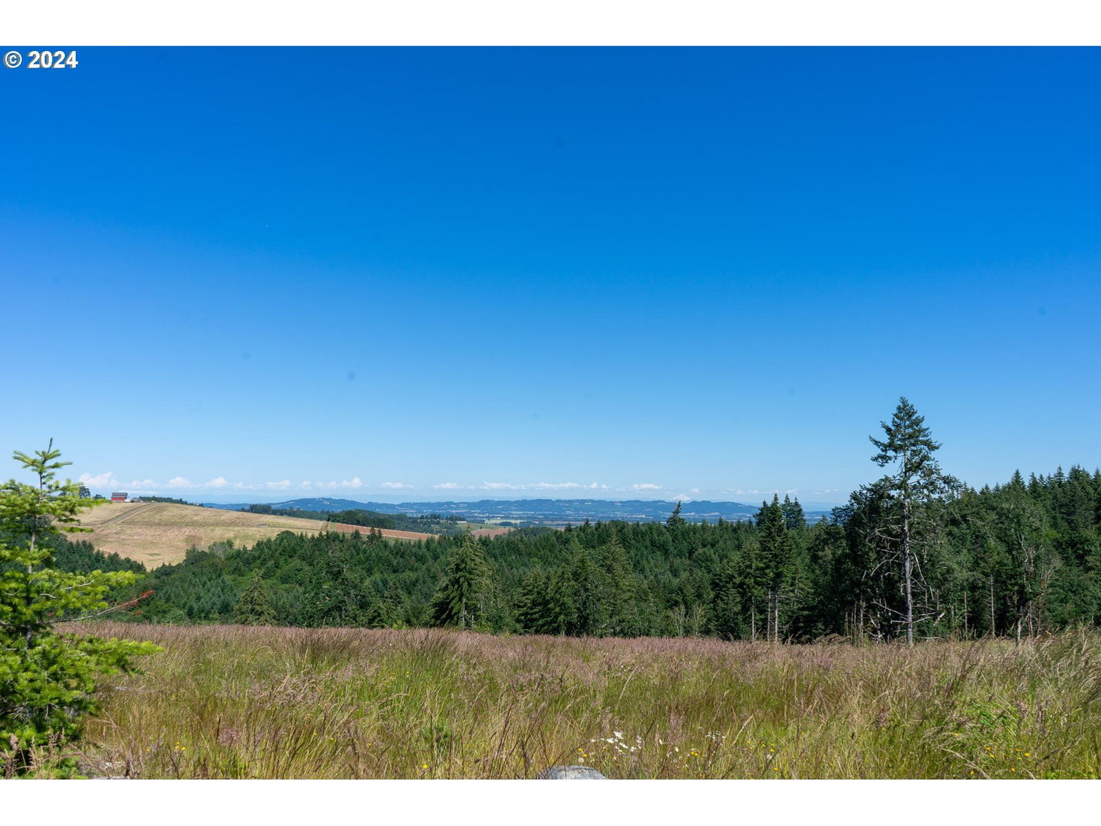 Listing photo 1 of 1