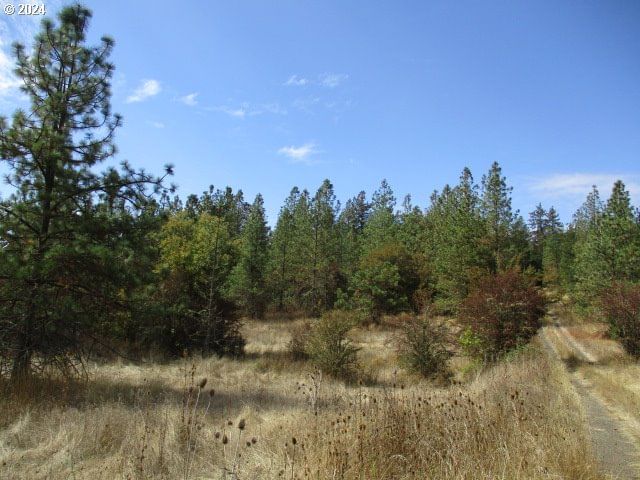 Listing photo 1 of 1