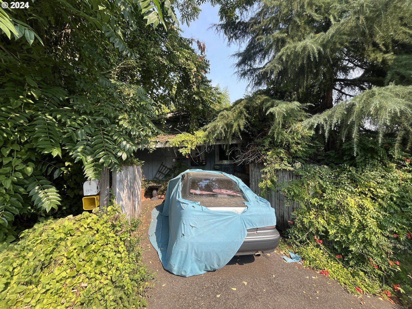 Listing photo 1 of 1