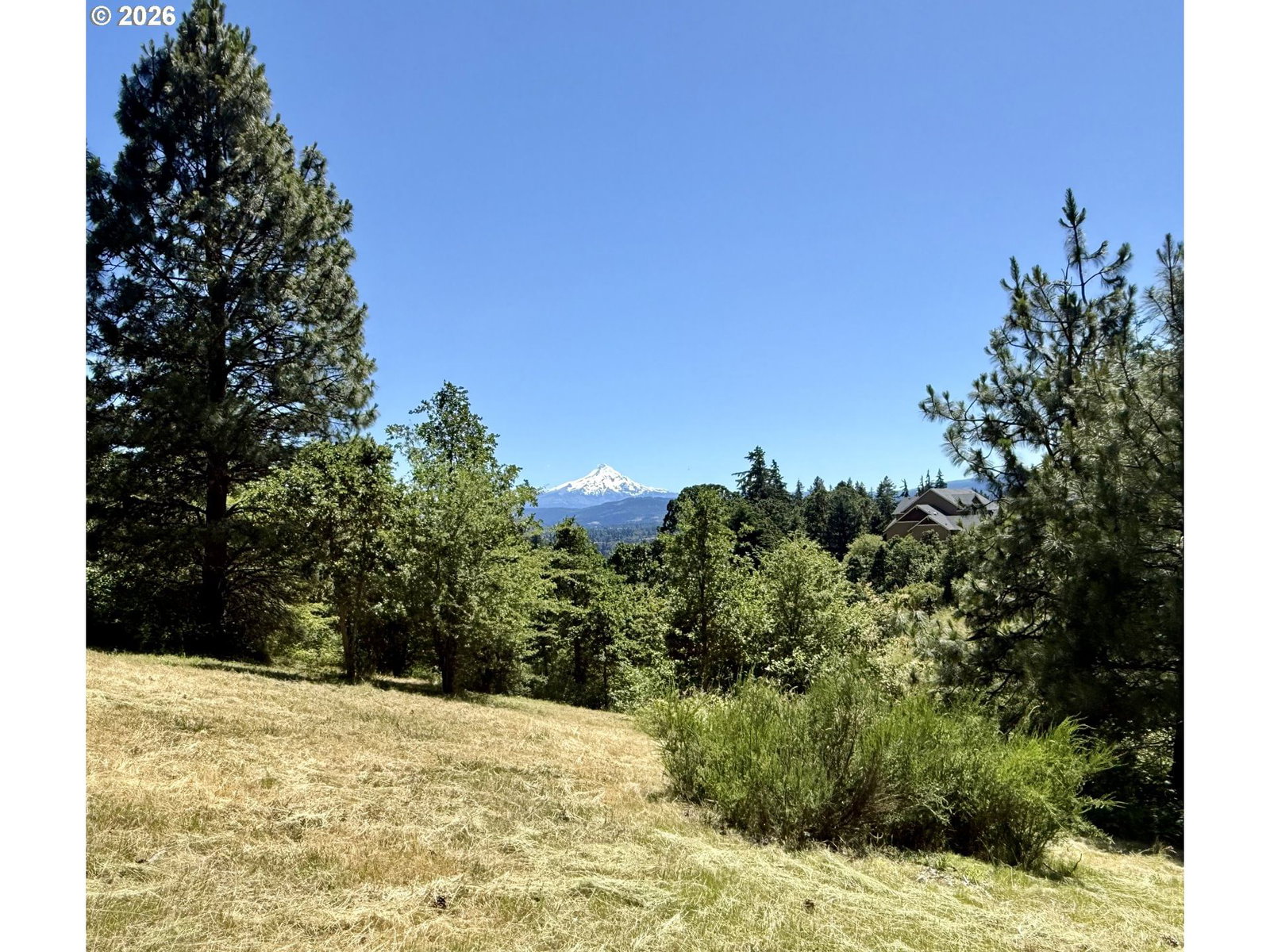 Listing photo 1 of 1