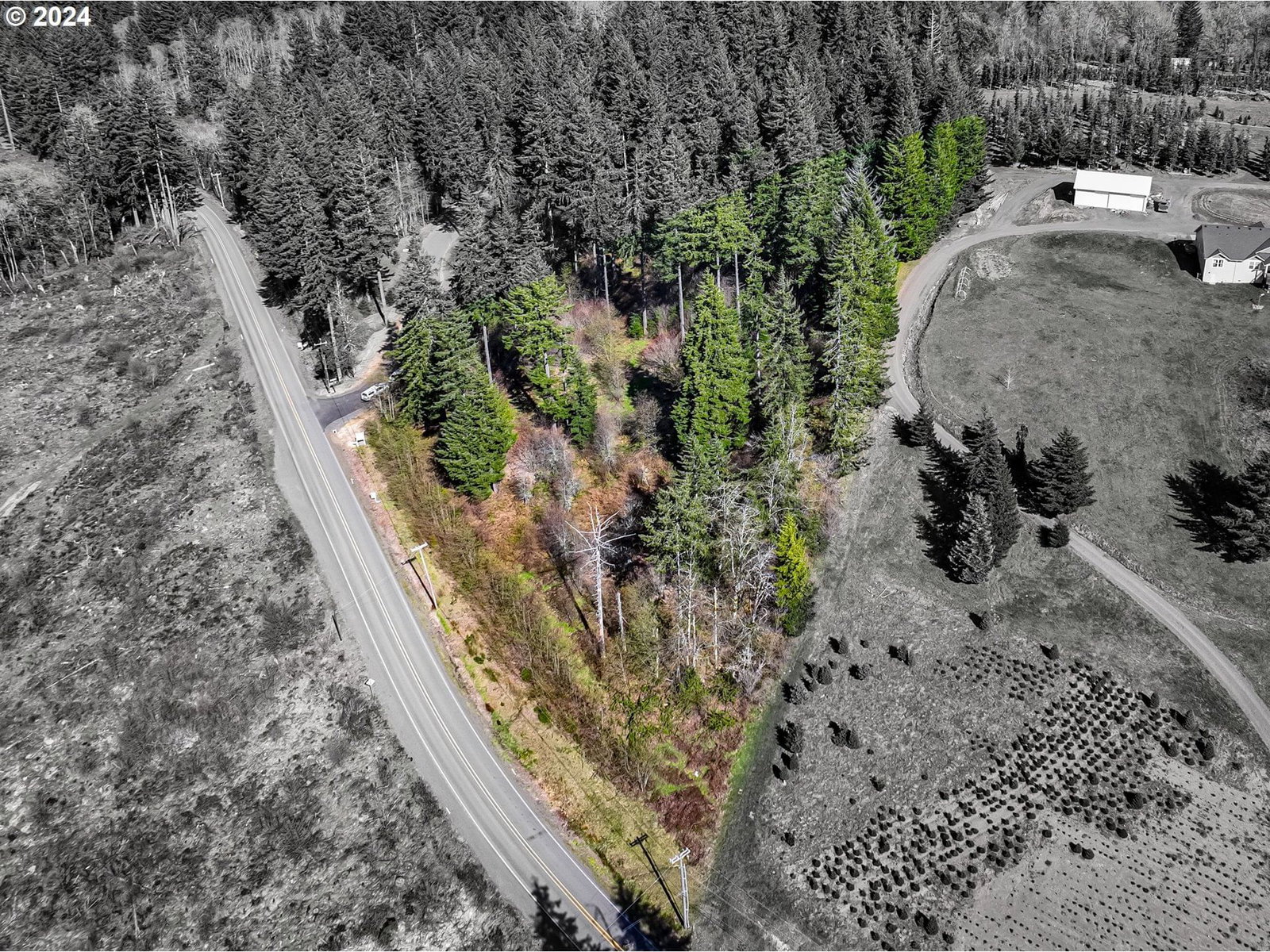 Listing photo 1 of 1