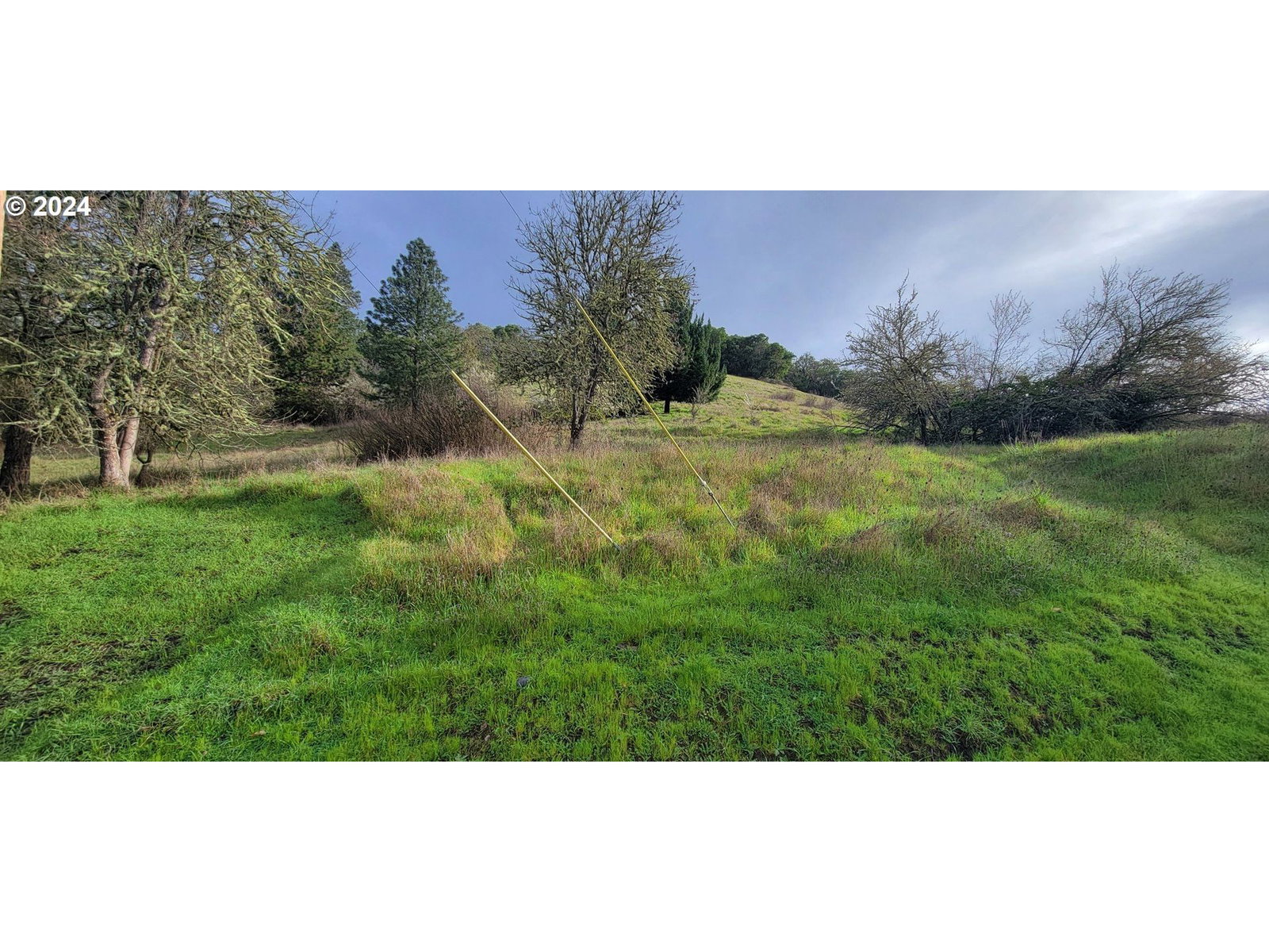 Listing photo 1 of 1