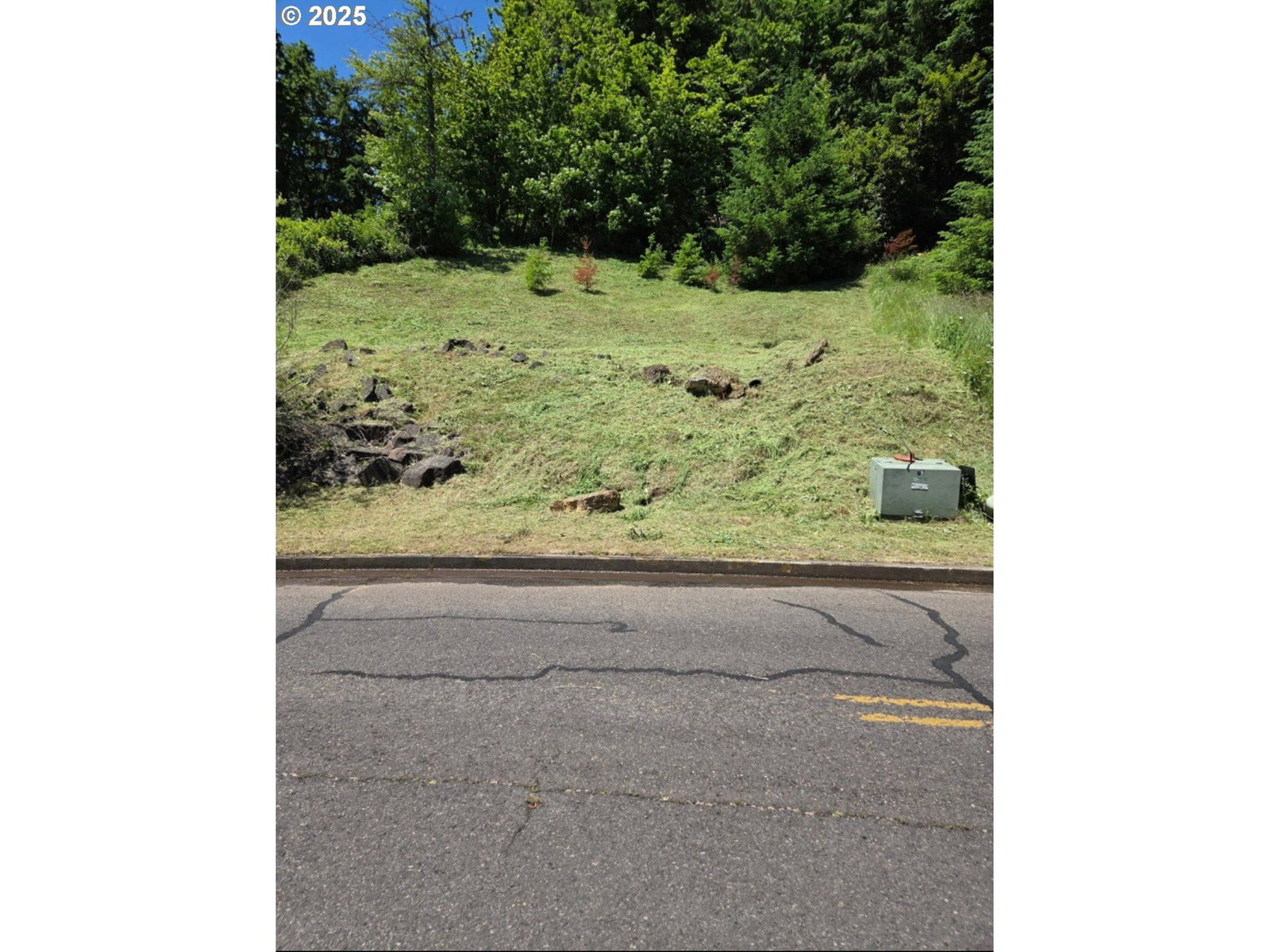 Listing photo 1 of 1