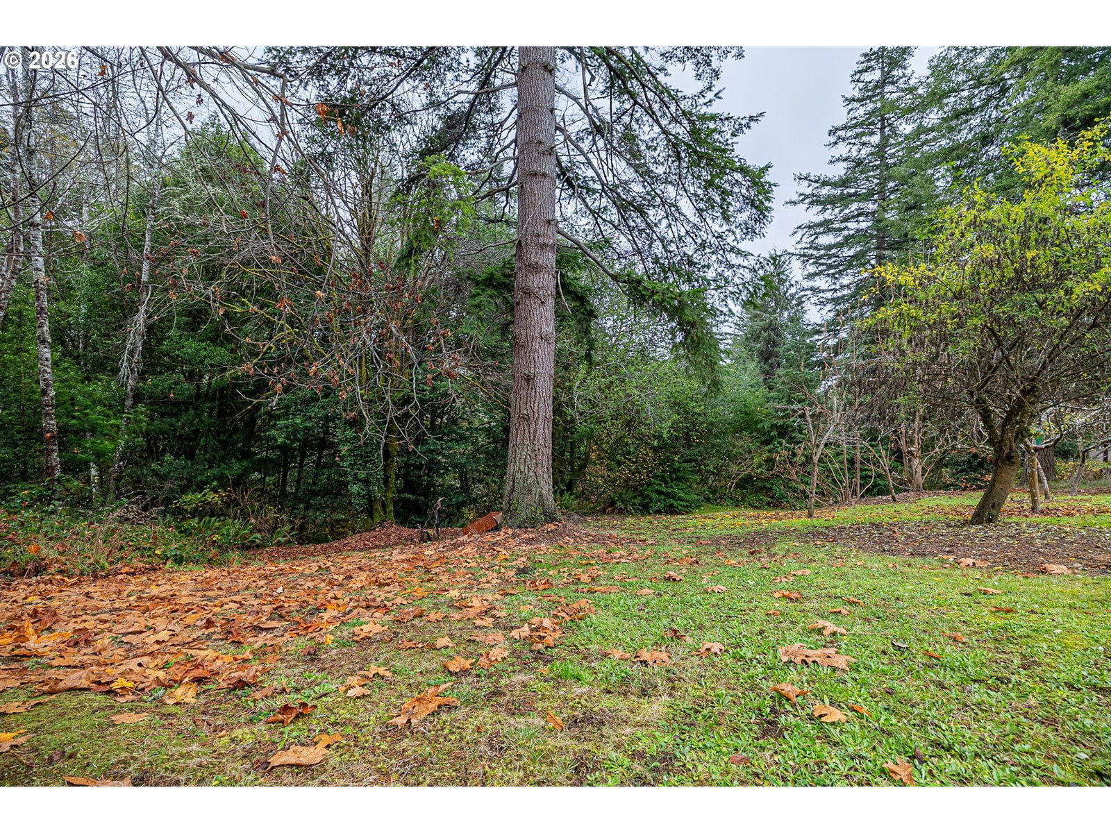 Listing photo 1 of 5