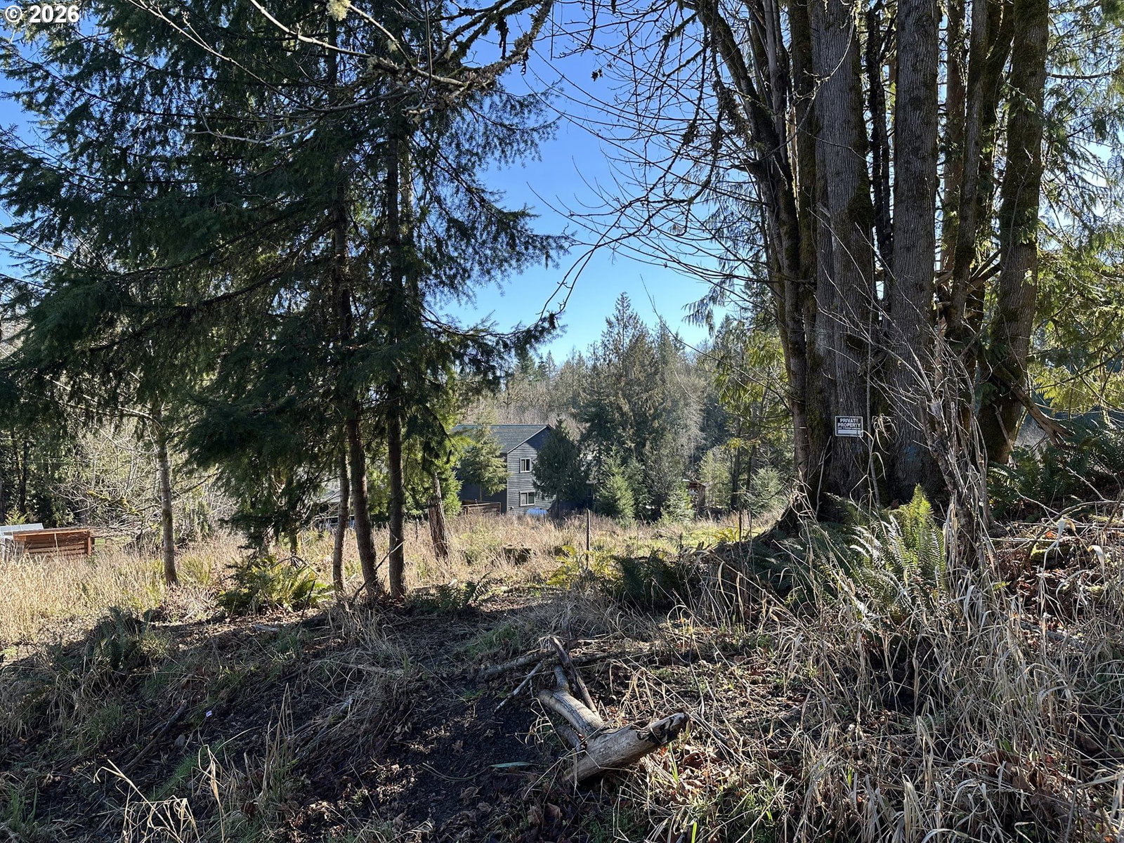 Primary listing photo, 165 E G ST, Vernonia, OR, 97064