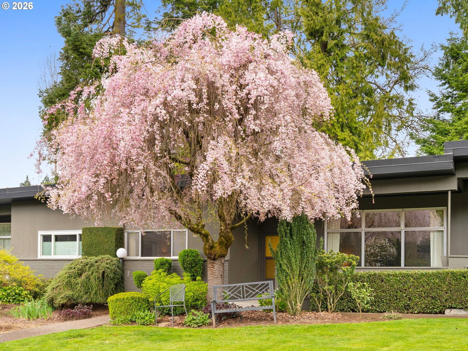5225 SW OLESON RD #15