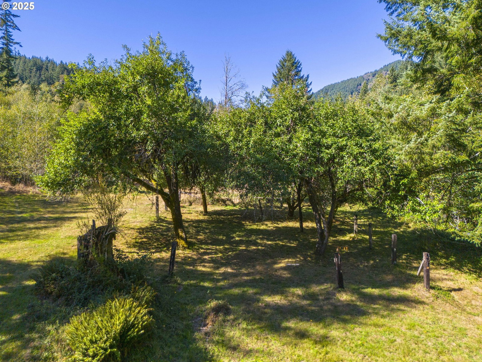 Listing photo 1 of 1