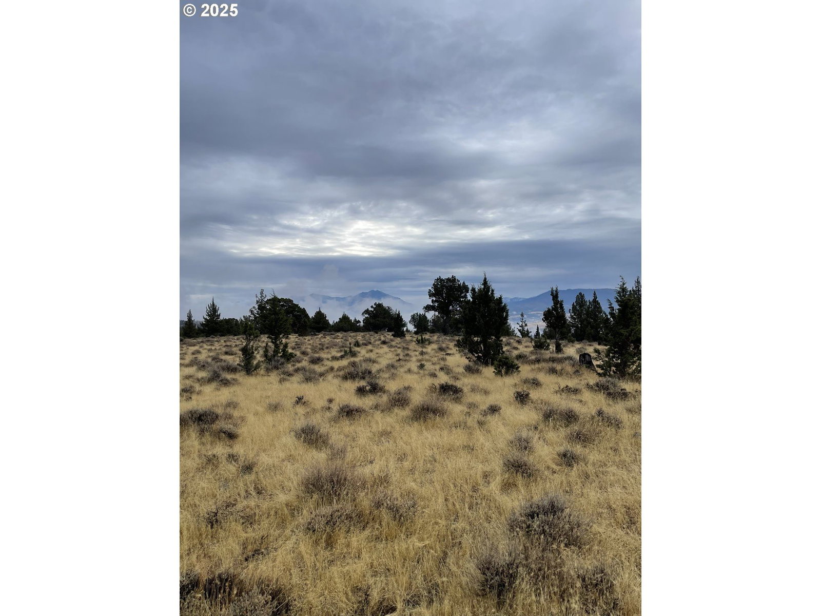 Listing photo 1 of 1