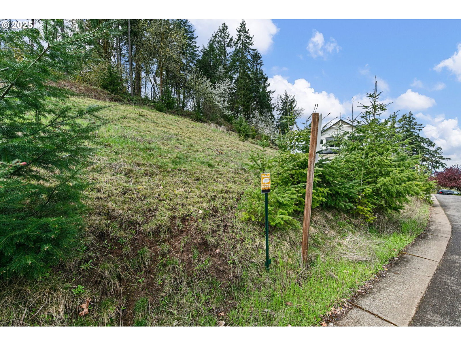 Primary listing photo, Mountain Ash, Eugene, OR, 97405