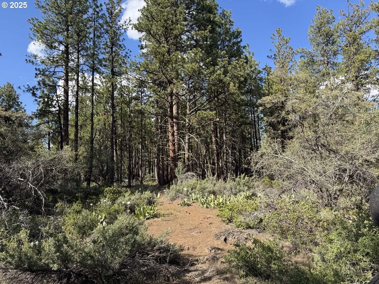 Listing photo 1 of 1