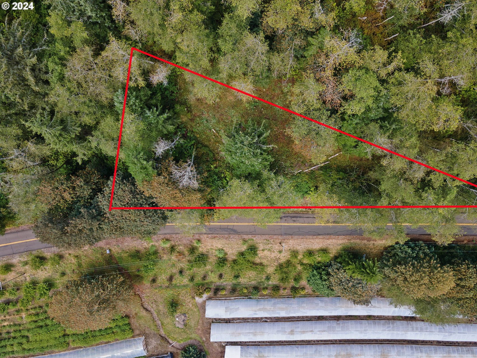 Listing photo 1 of 1