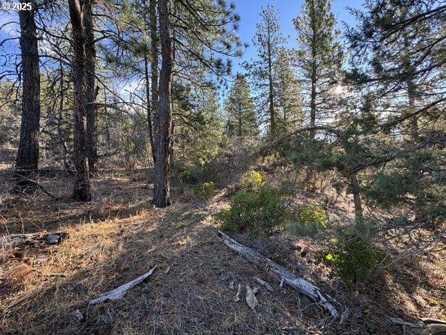 Listing photo 1 of 1