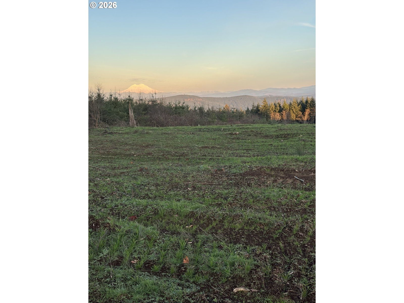 Primary listing photo, 228 Suncrest DR #1, Castle Rock, WA, 98611