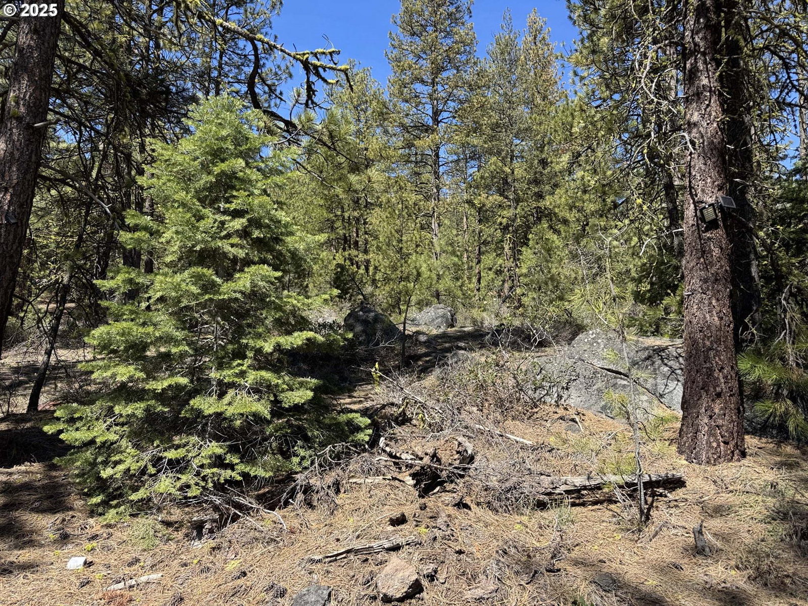 Listing photo 1 of 1