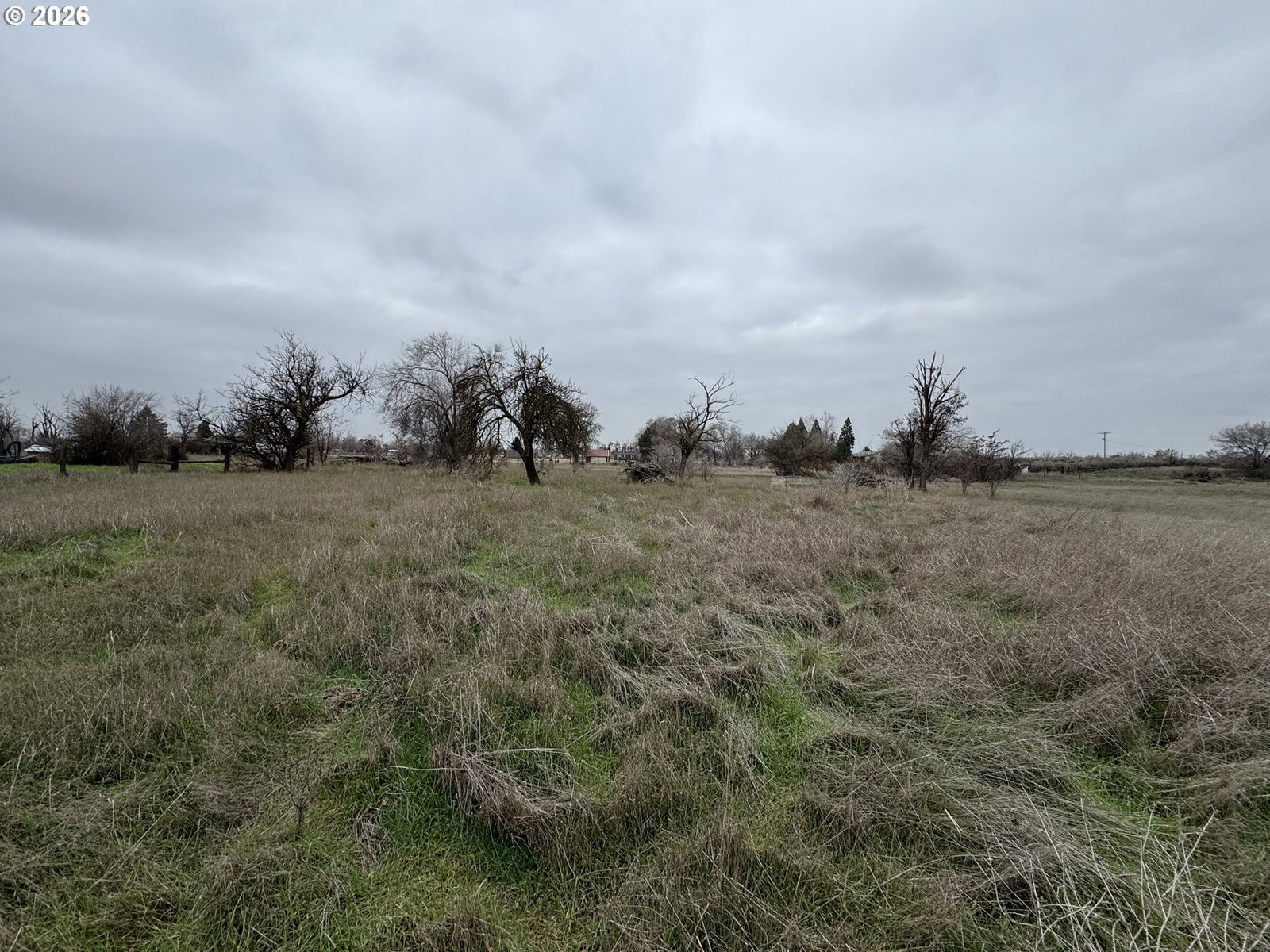 Primary listing photo, 80672 CRAIG RD, Hermiston, OR, 97838