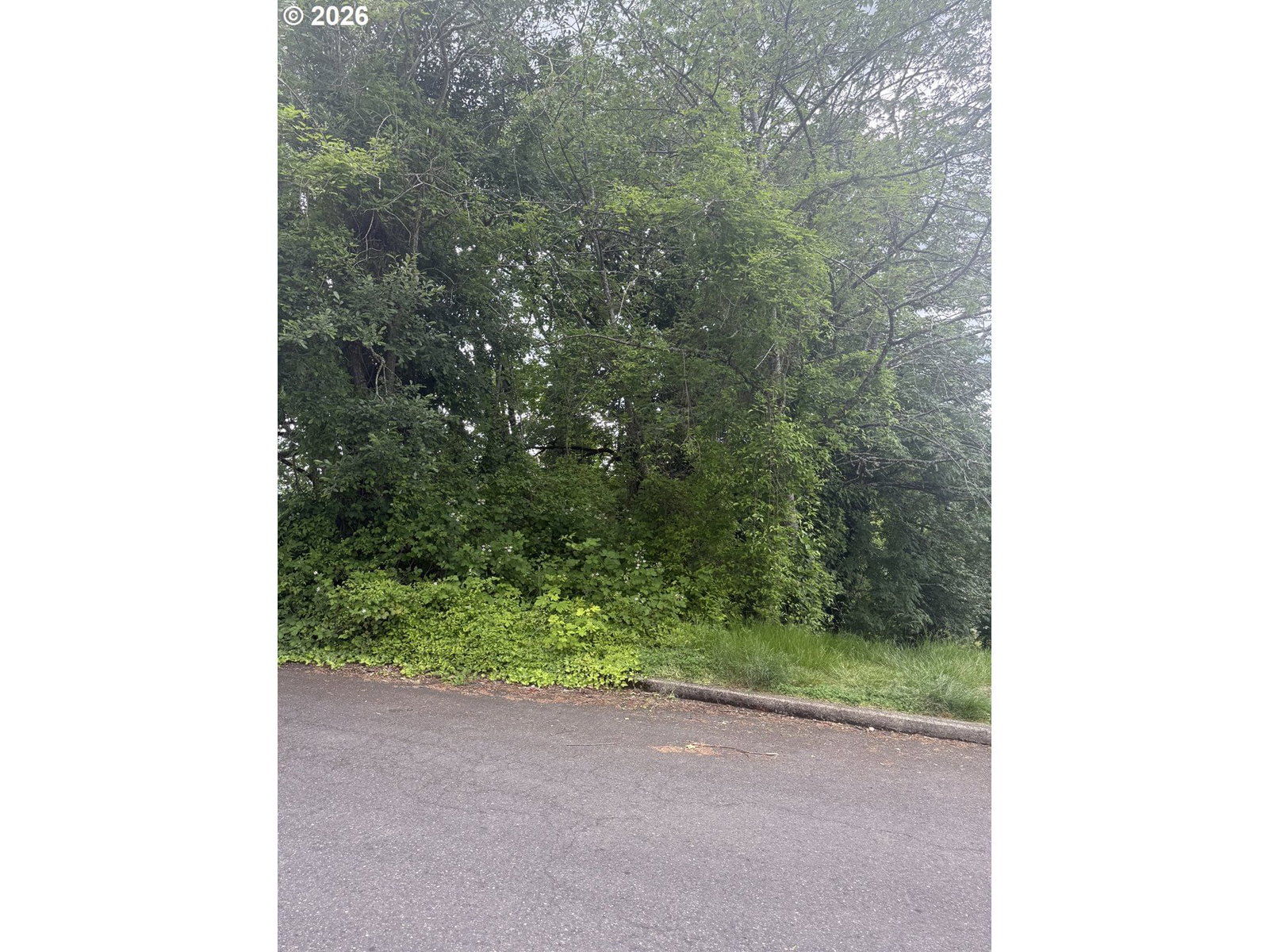 Listing photo 1 of 1