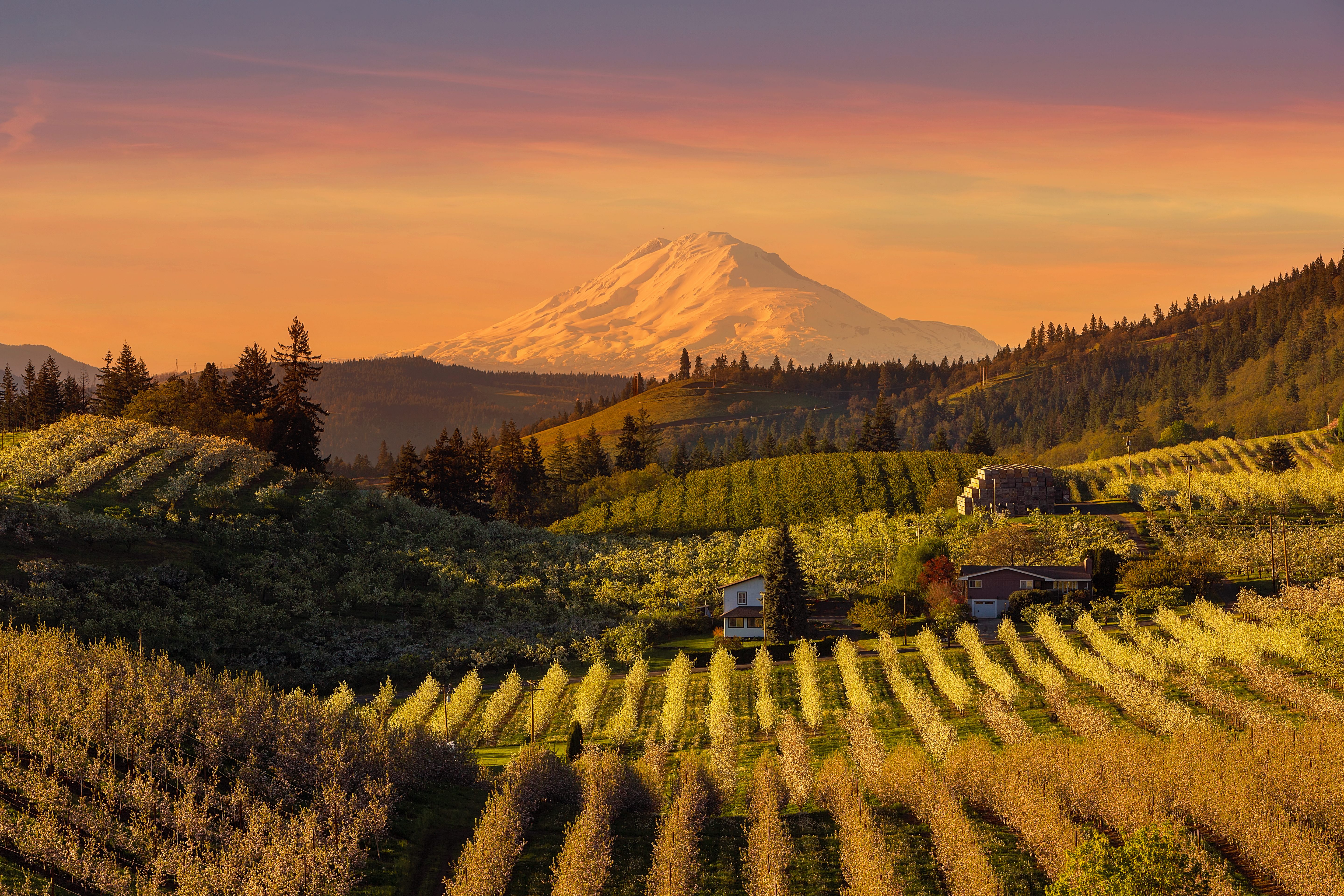 Lane County, Oregon
